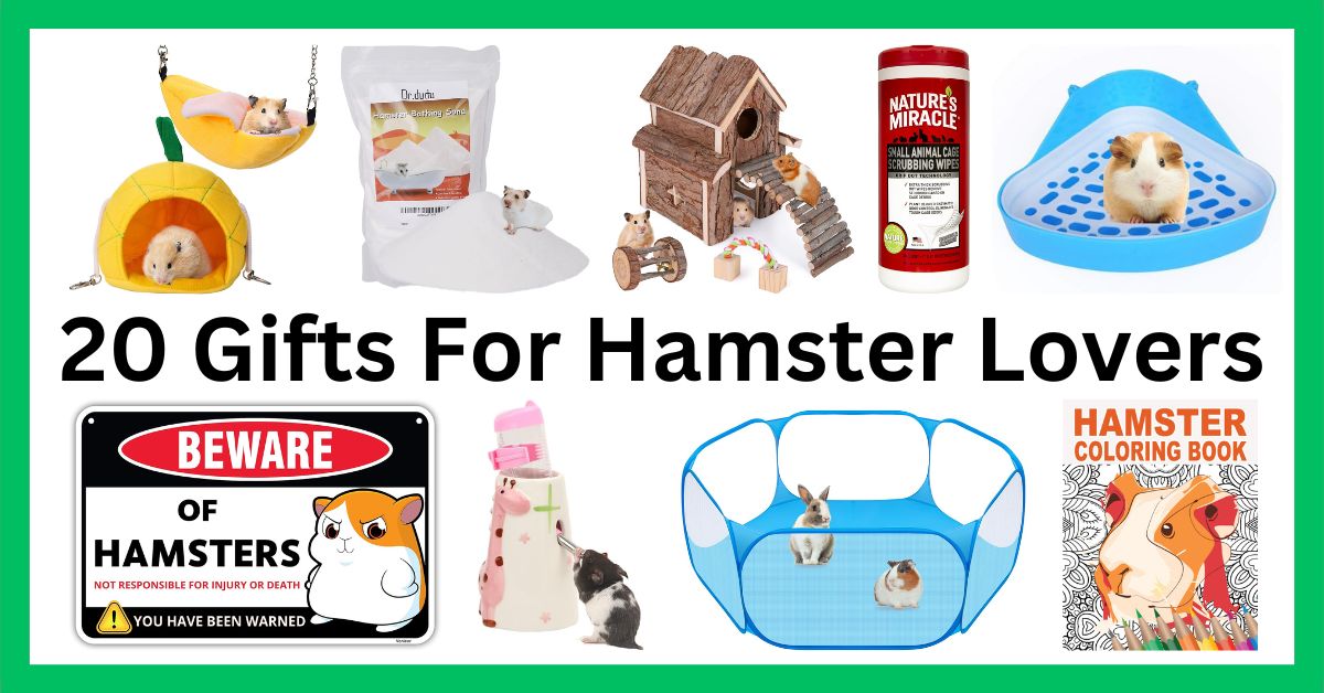 Gifts For Hamster Lovers