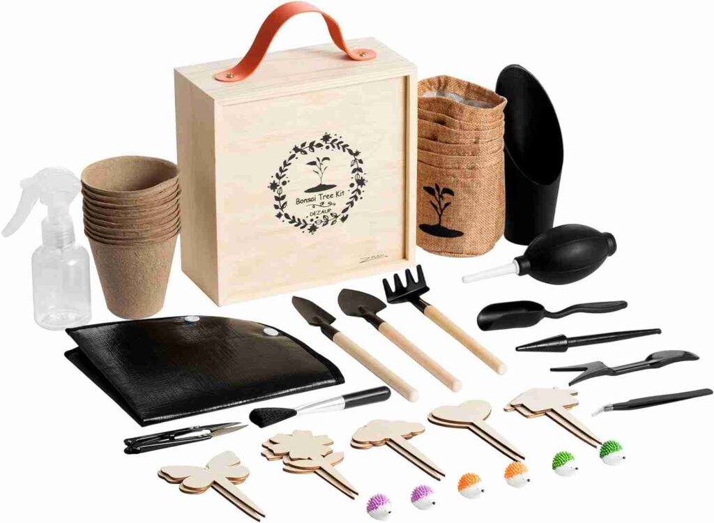 Indoor Gardening Tree Kit