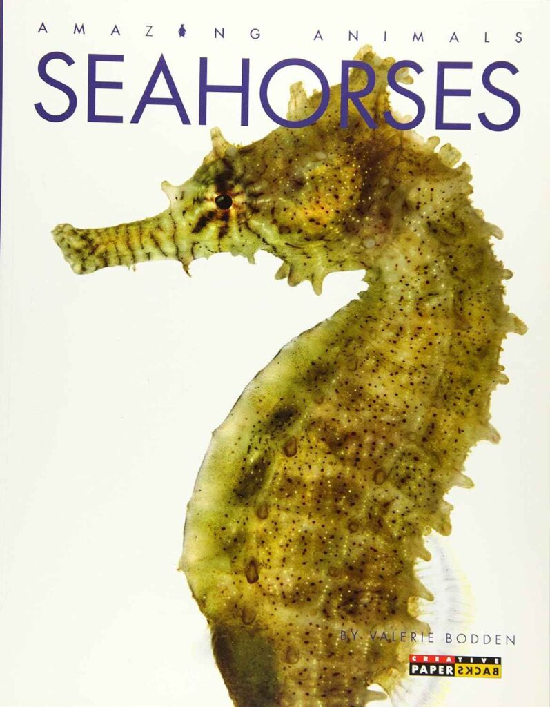 Seahorses Amazing Animals Book