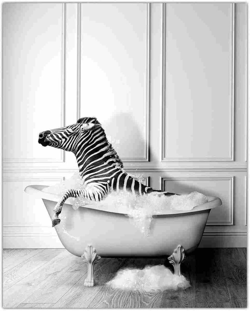 Zebra In Bathtub Canvas